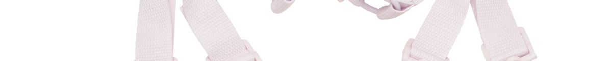 Skin And Lips Adult Shop