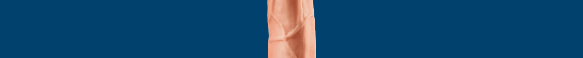 Skin And Lips Adult Shop