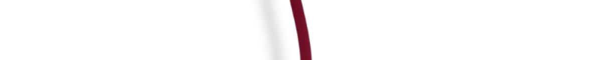 Skin And Lips Adult Shop