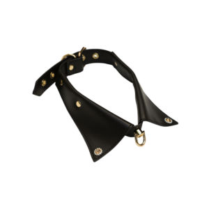 Jewelled Shirt Collar