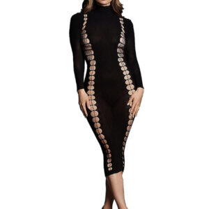 La' Desir Shade Carme Dress with Turtleneck