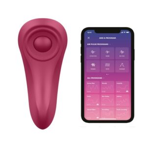 Satisfyer Sexy Secret Panty Vibrator - Vibrators